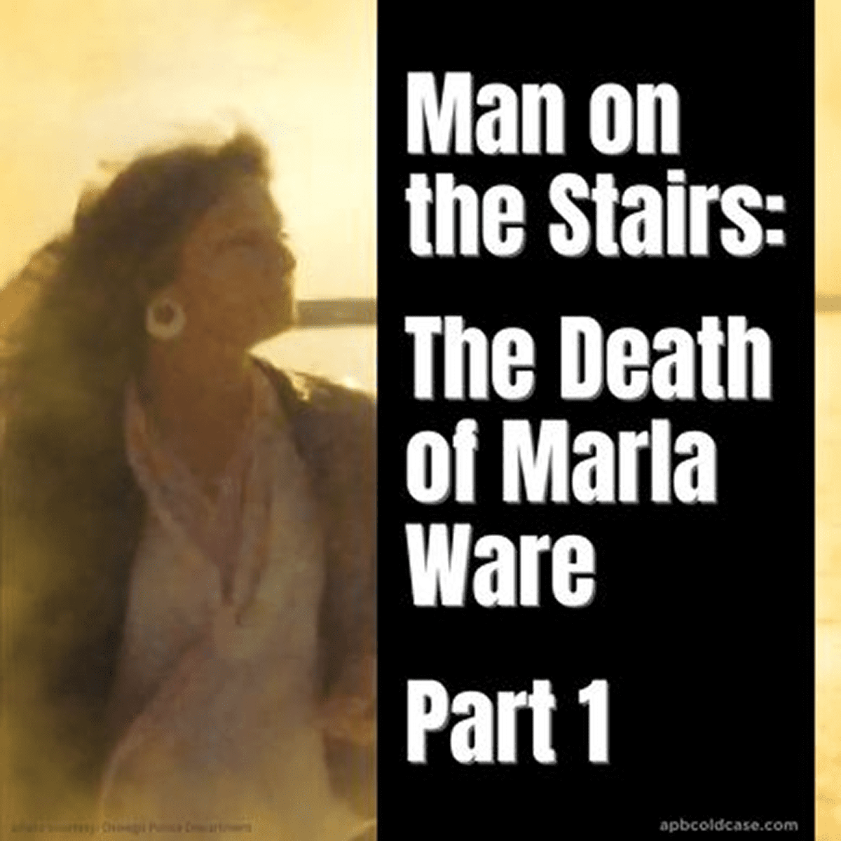 Crime series cover, woman in focus