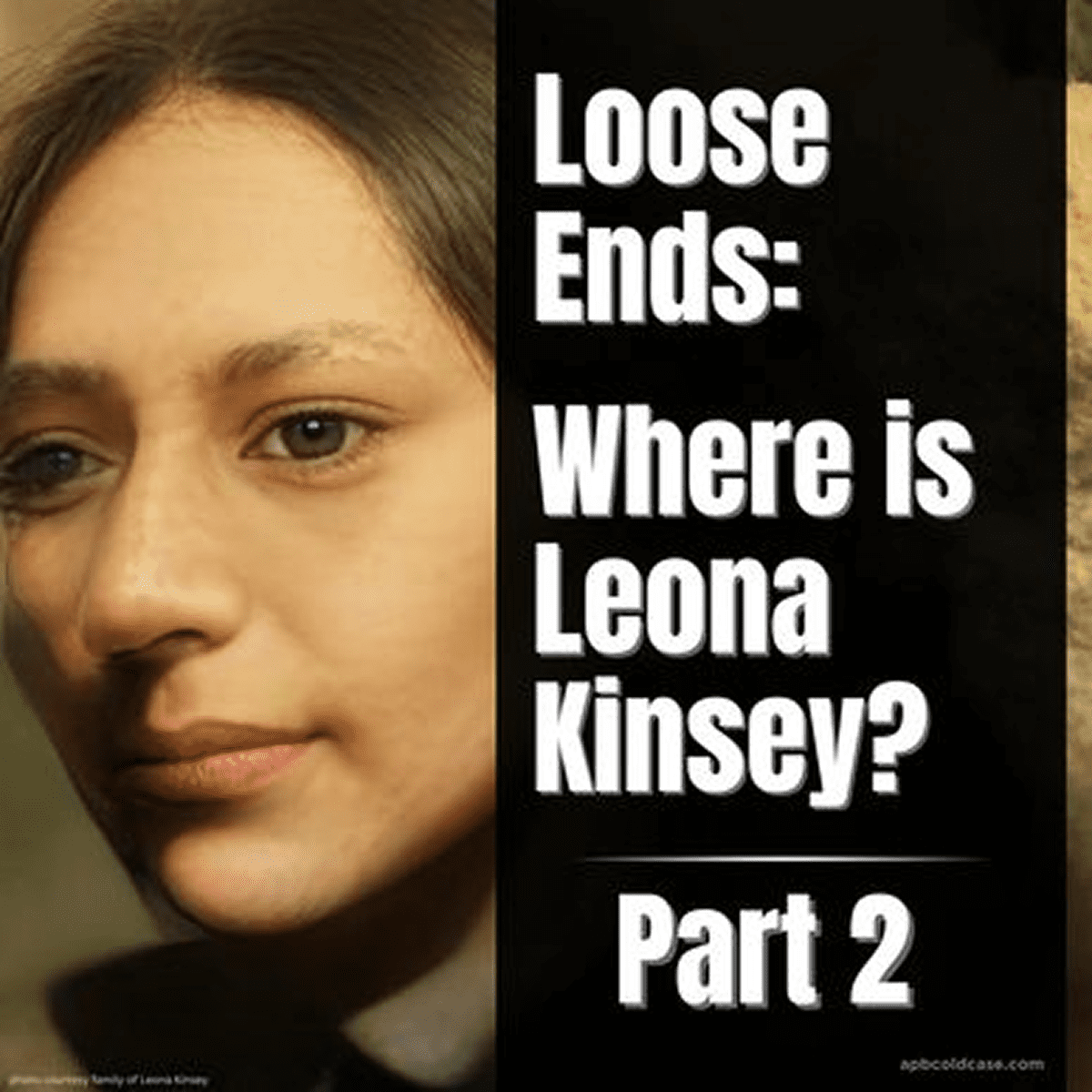 Mystery series promotional image