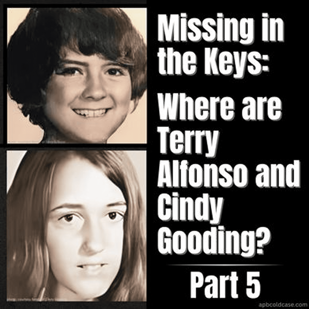 Missing persons poster, Terry and Cindy